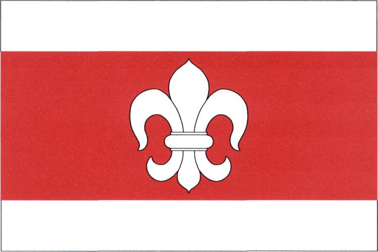 Vlajka obce Čechtice