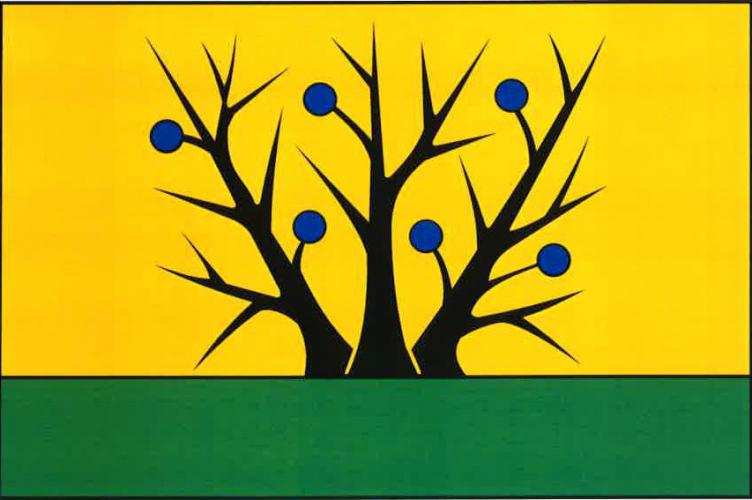 Vlajka obce Trnávka