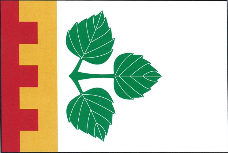 Vlajka obce Březová