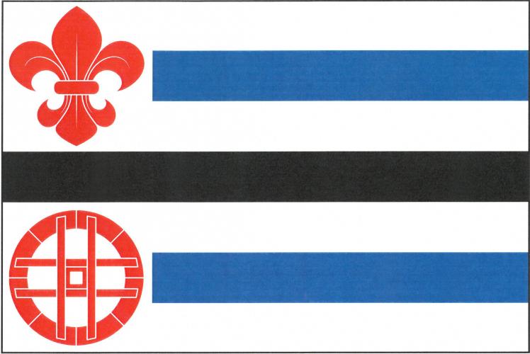 Vlajka obce Drobovice