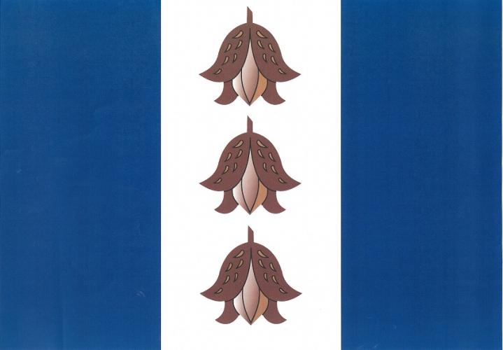 Vlajka obce Bukovany