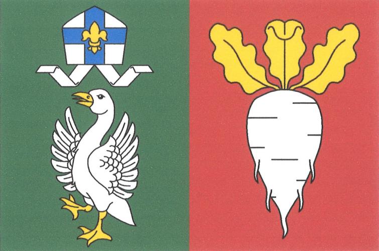 Vlajka obce Zvoleněves