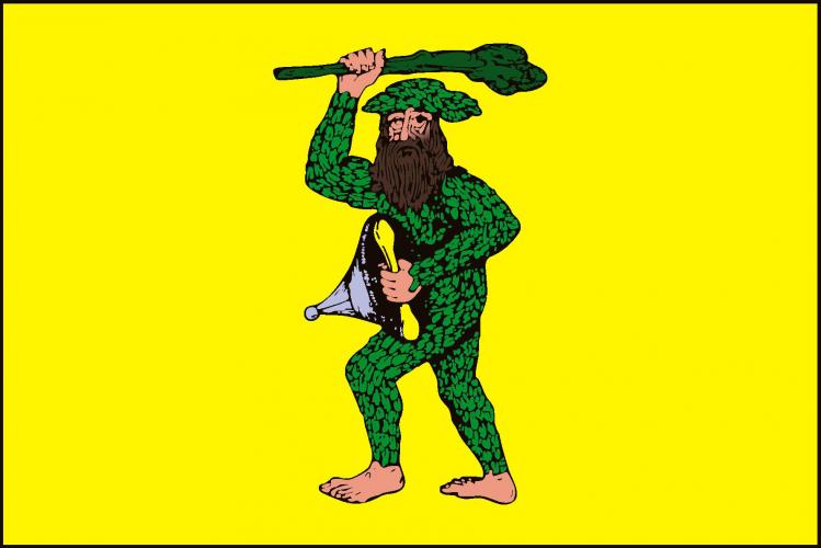 Vlajka obce Chotusice