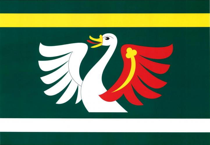 Vlajka obce Petrovice II