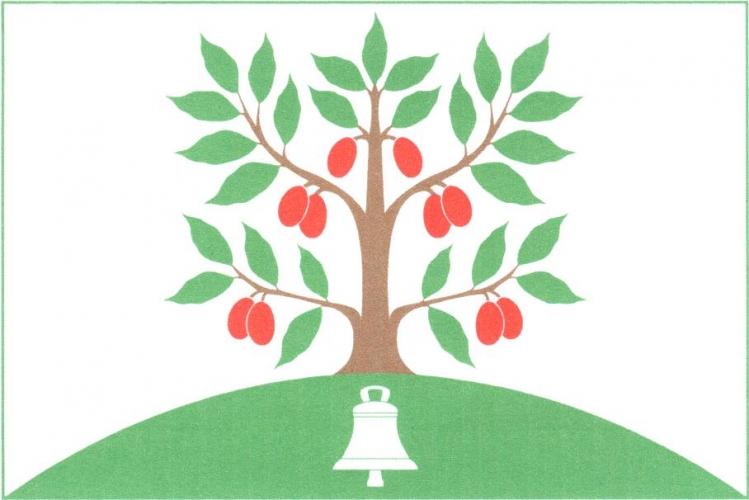 Vlajka obce Dřínov