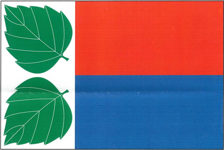 Vlajka obce Březina