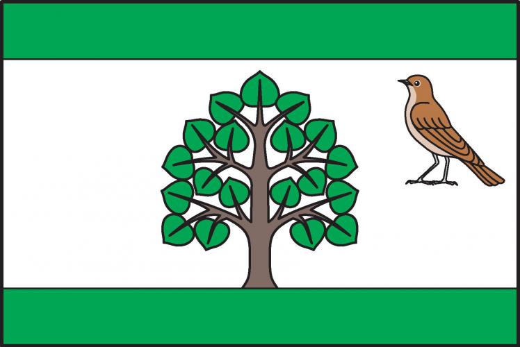 Vlajka obce Strenice