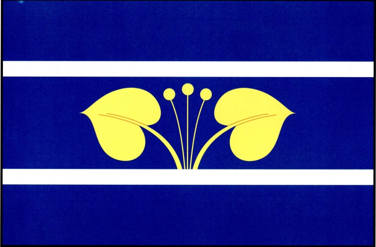 Vlajka obce Všejany