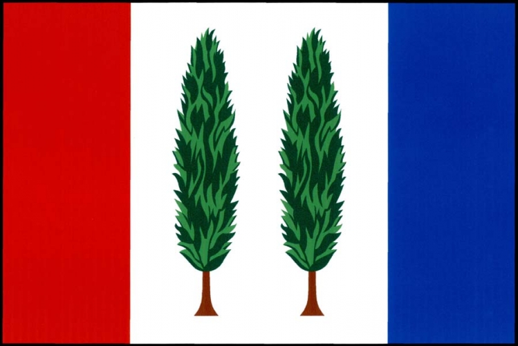 Vlajka obce Dobšice