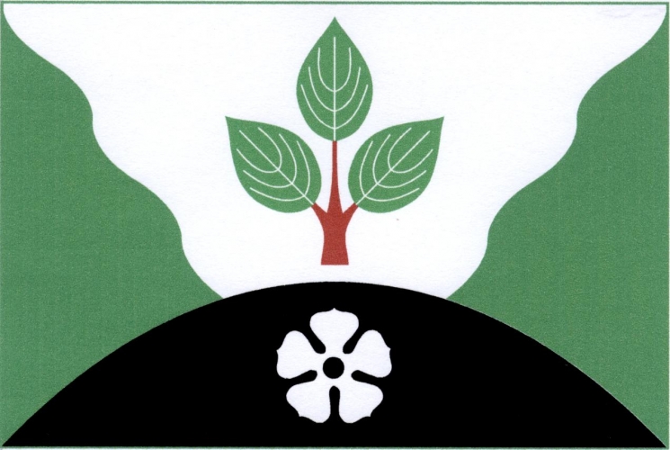 Vlajka obce Dymokury