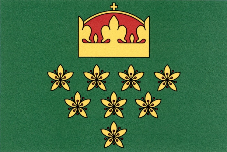 Vlajka obce Dolní Hbity