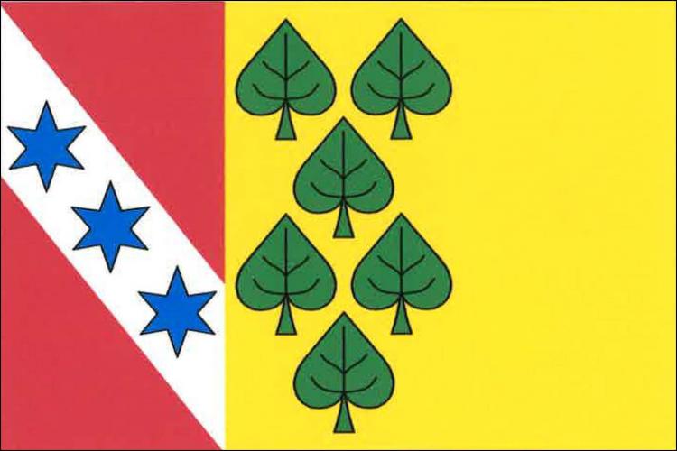 Vlajka obce Prosenická Lhota