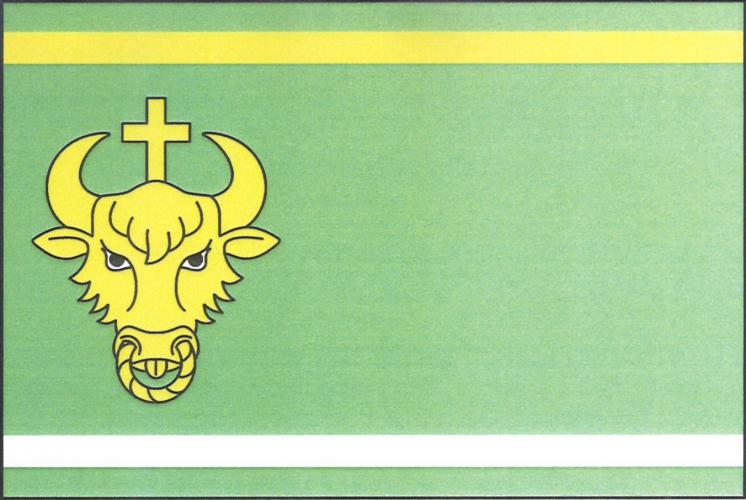 Vlajka obce Nový Dům