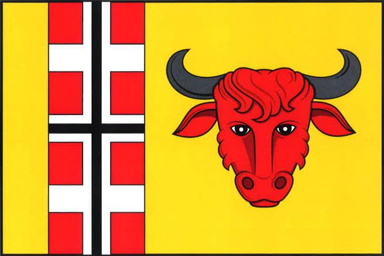 Vlajka obce Býčkovice