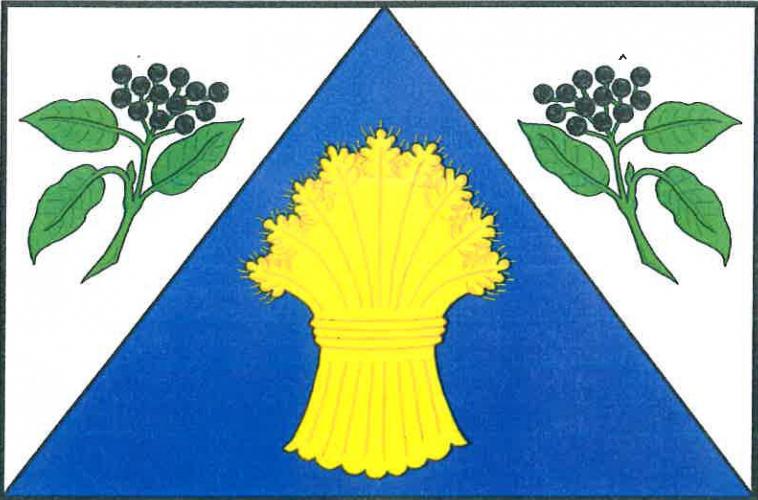 Vlajka obce Svídnice