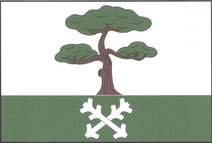 Vlajka obce Borovnička
