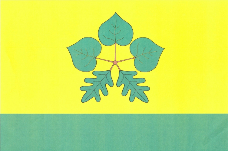 Vlajka obce Mičovice