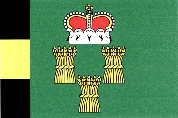 Vlajka obce Číčenice