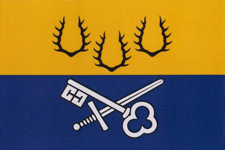 Vlajka obce Holýšov