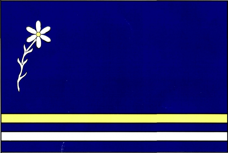 Vlajka obce Častohostice