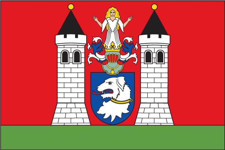 Vlajka obce Dolní Žandov