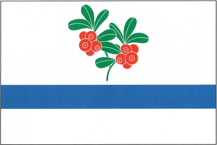 Vlajka obce Dolní Brusnice