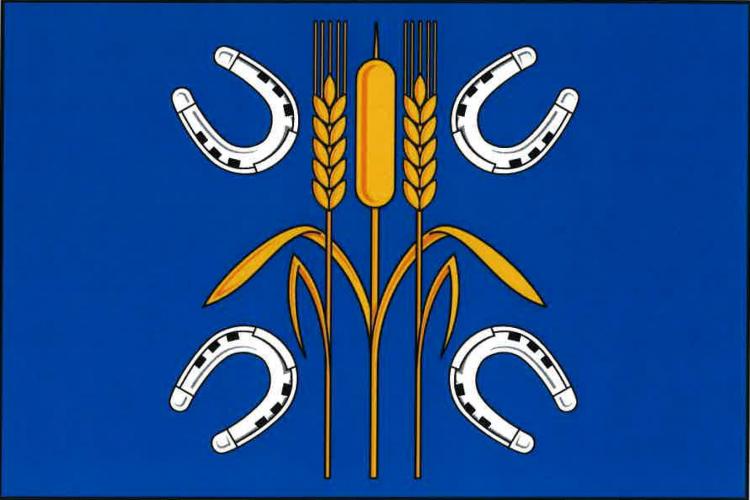Vlajka obce Nasavrky