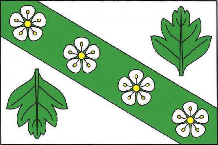 Vlajka obce Hlohovice