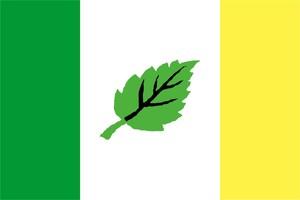 Vlajka obce Březová