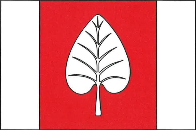 Vlajka obce Jestřebí