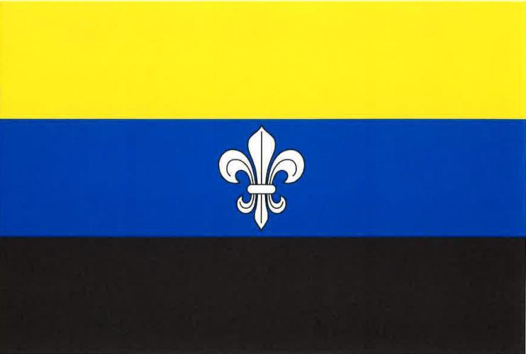 Vlajka obce Temešvár