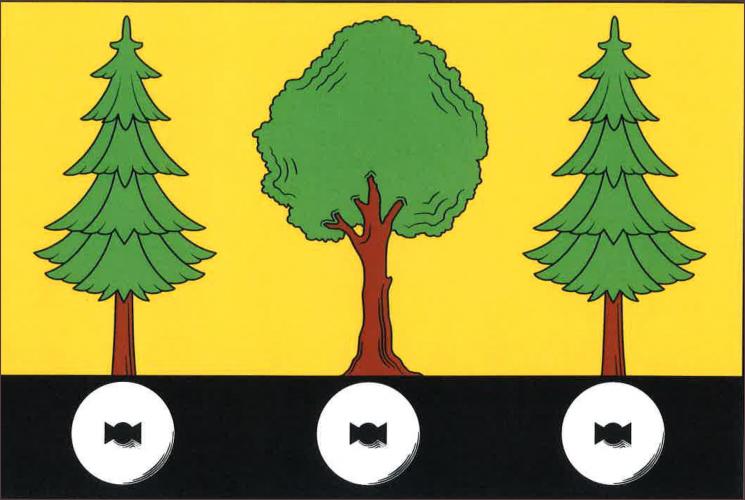 Vlajka obce Černovice