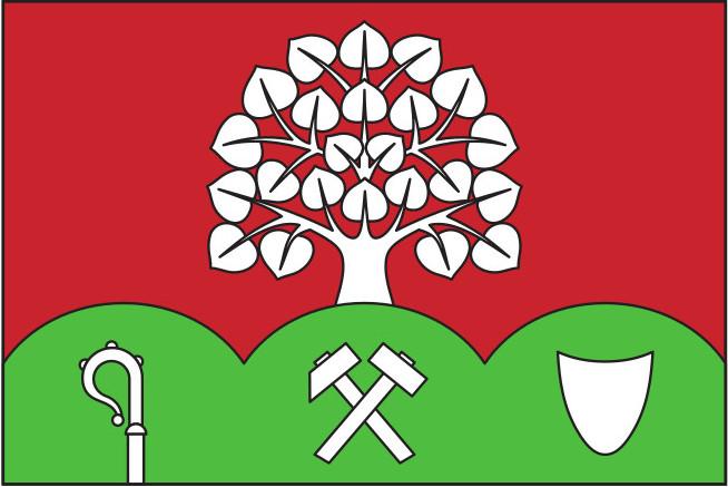 Vlajka obce Domašín