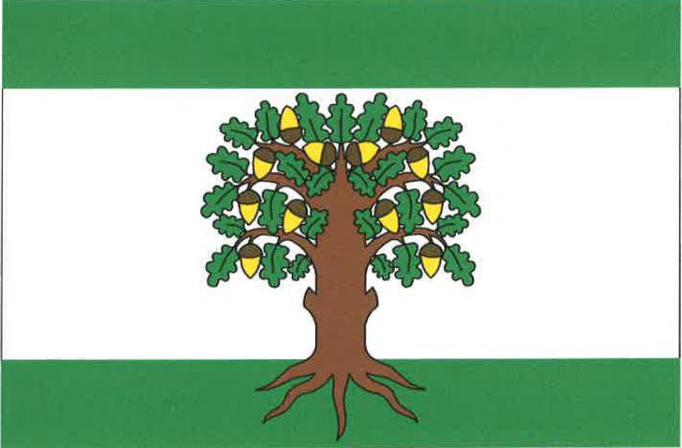 Vlajka obce Český Dub