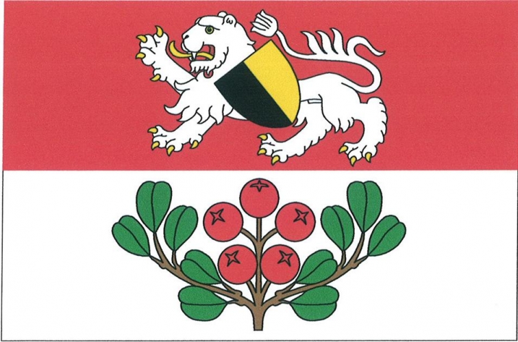 Vlajka obce Rynoltice