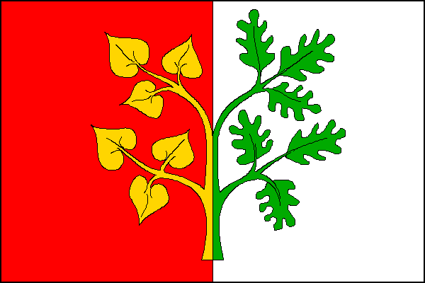 Vlajka obce Všelibice