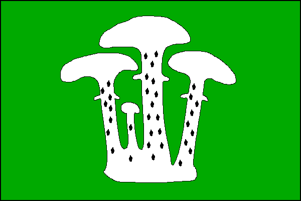 Vlajka obce Václavy