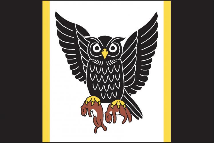 Vlajka obce Sovínky