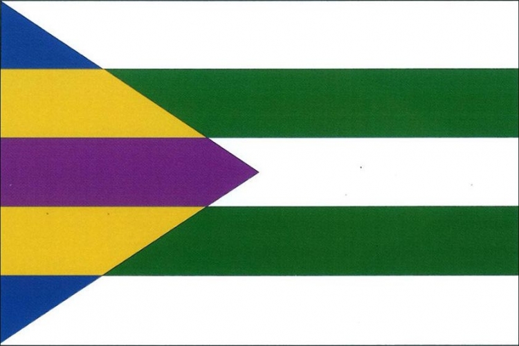 Vlajka obce Toužetín