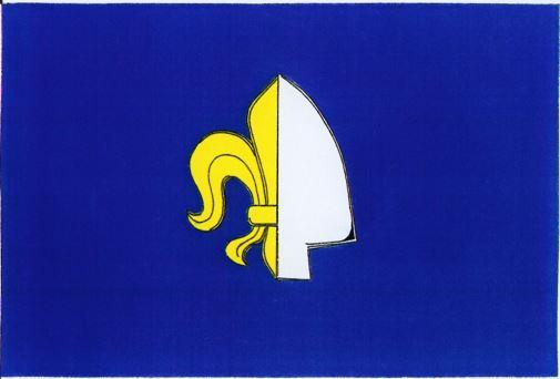 Vlajka obce Darkovice