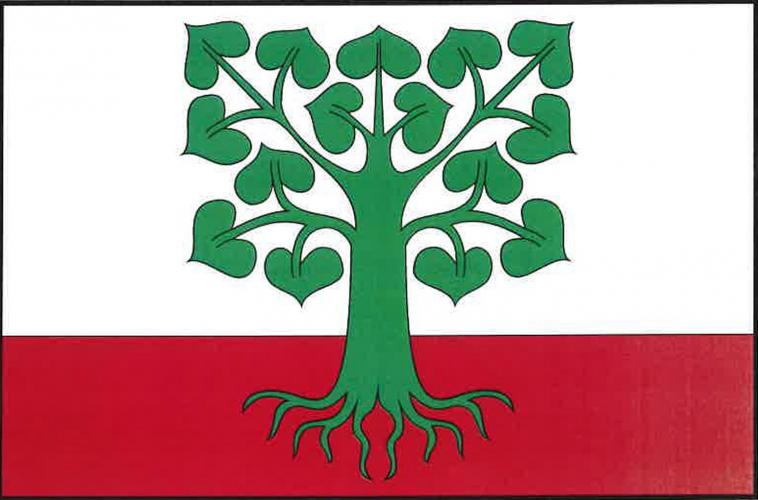 Vlajka obce Klokočov