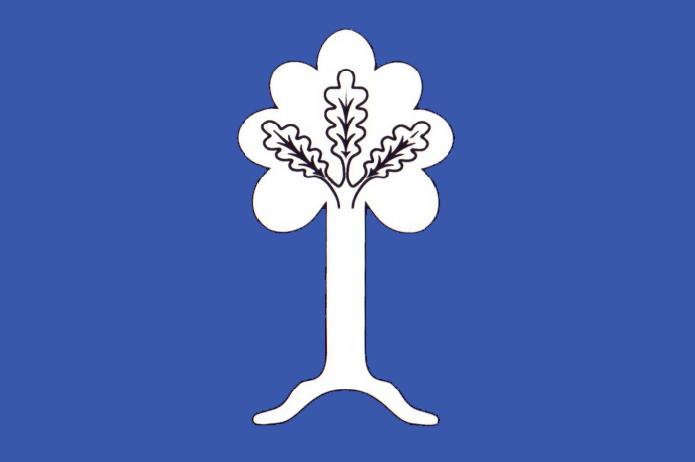 Vlajka obce Doubrava