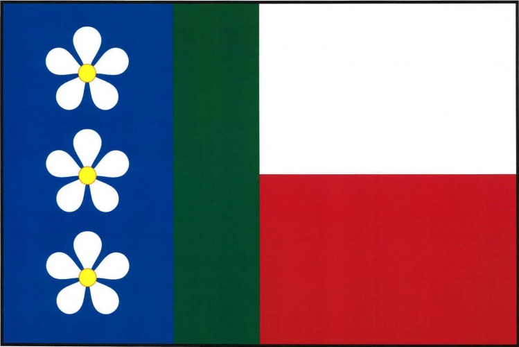 Vlajka obce Střemošice