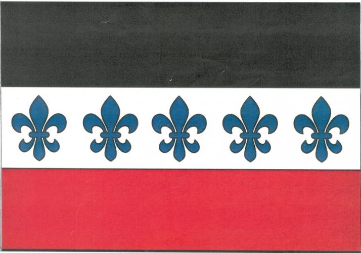 Vlajka obce Služátky