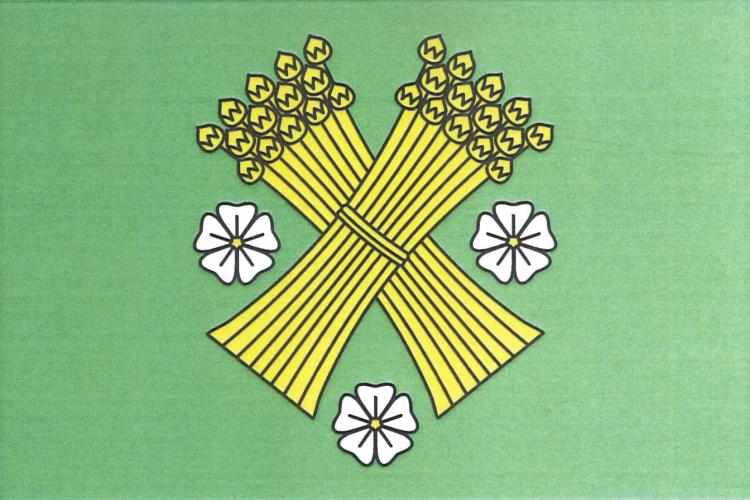 Vlajka obce Brzice