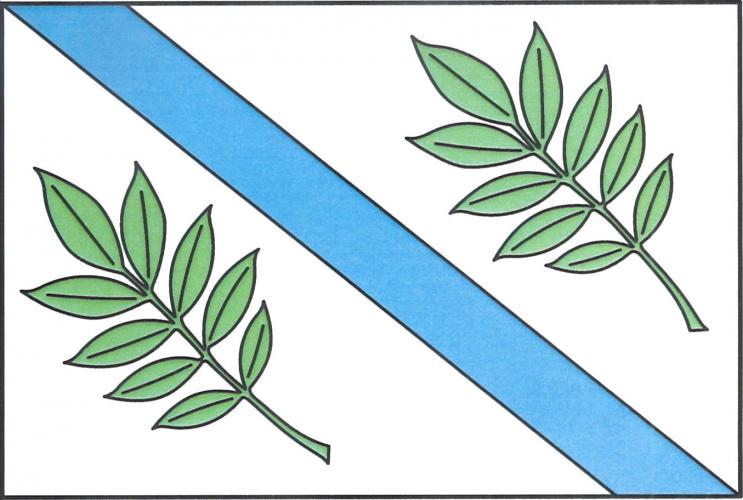 Vlajka obce Jasenná