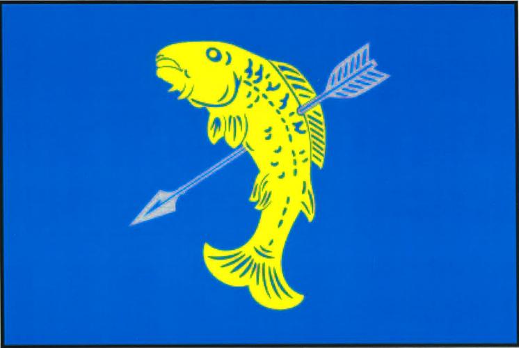 Vlajka obce Častolovice