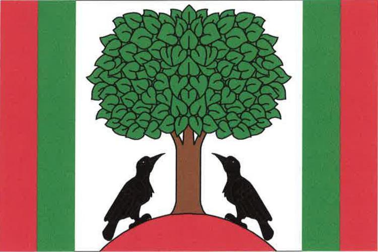 Vlajka obce Libštát