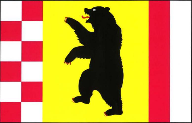 Vlajka obce Nedvězí