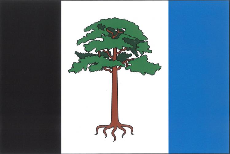 Vlajka obce Borovnice